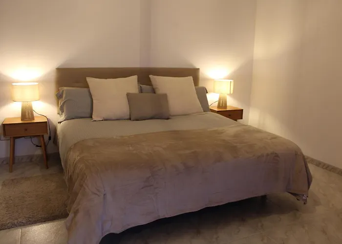 فيلة San Cristobal De Acentejo *